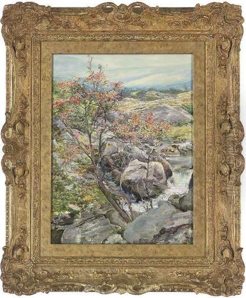 A Rowan Tree, Nantcol, Llanbedr - view 1