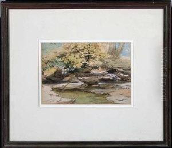 A Rocky River Bed - view 1