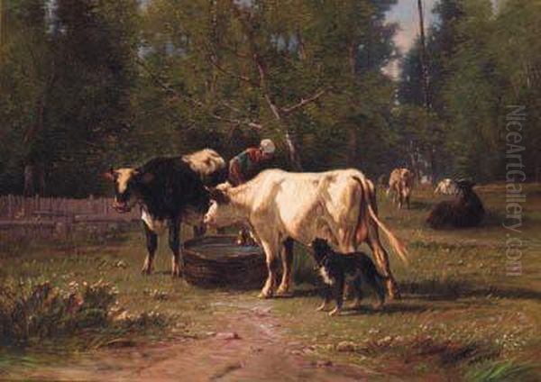 Cattle Watering In A Meadow - view 1