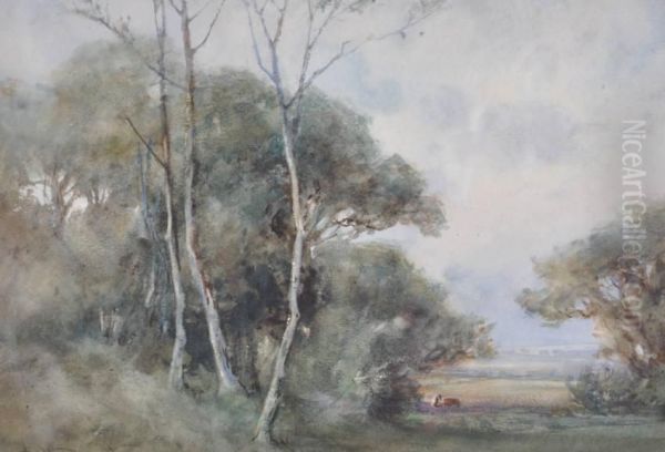 Wooded Landscape - view 1
