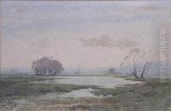 Marshlands - view 1
