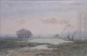 Marshlands