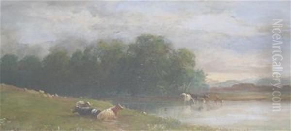 Cattle Watering At Dusk - view 1