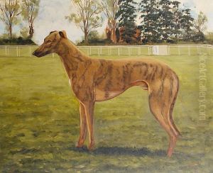 Portrait Of The Champion Greyhound 'captainpike'
