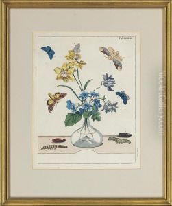 Studies From The Aurelian, A Natural History Of English Mothsand Butterflies. by Moses Harris
