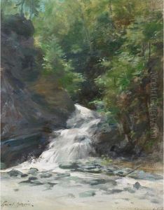 Crawford Falls, Metis