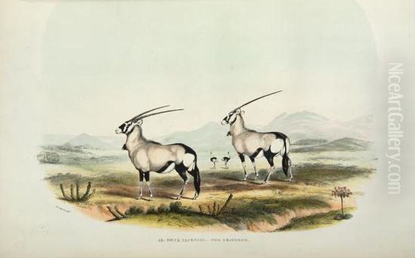 Portraits Of Game And Wild Animals Of Southern Africa, Delineated From Life In Their Native Haunts, During A Hunting Expedition From The Cape Colony As Far As The Tropic Of Capricorn, In 1836 And 1837, With Sketches Of The Field Sports - view 1