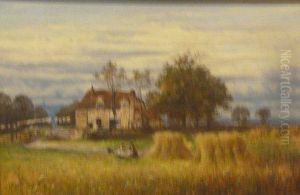 Cornfield By A Cottage