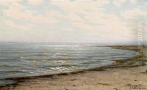 Peaceful Ocean by Alexander Thomas Harrison