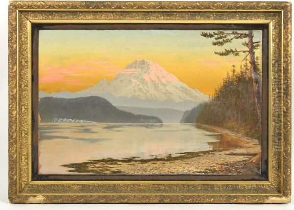 Mt. Rainier - view 1