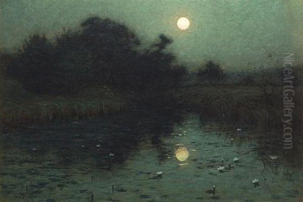 Moonlight Over A Pond - view 1
