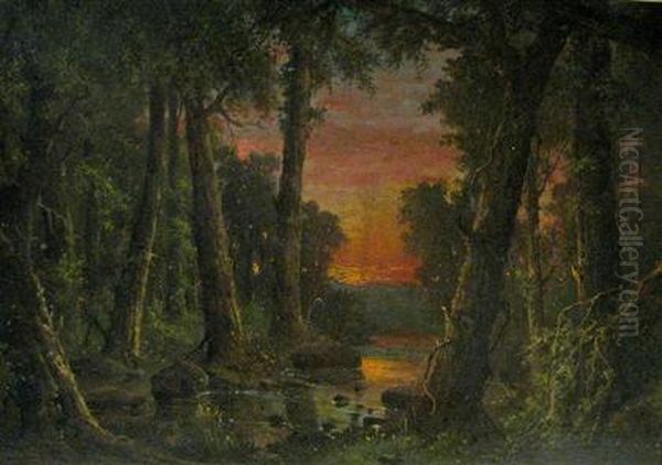 Landscape - view 1