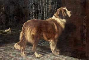 St Bernard