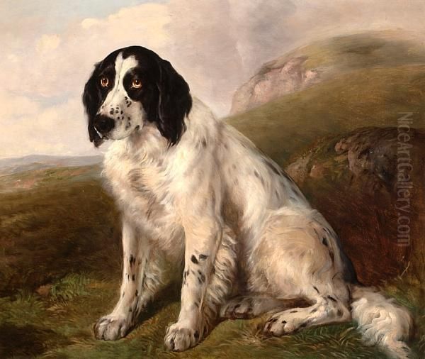 A Spaniel In An Extensive Landscape - view 1