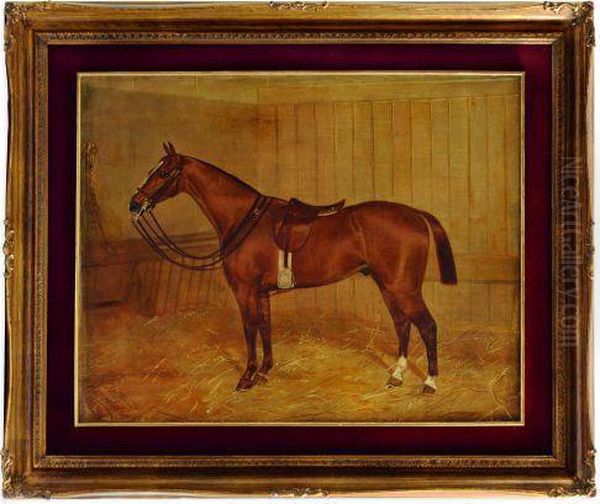 Caballo En Caballeriza Con Albardon. - view 1