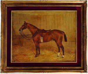 Caballo En Caballeriza Con Albardon.