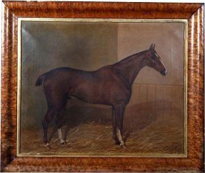 A Bay Hunter In A Stable