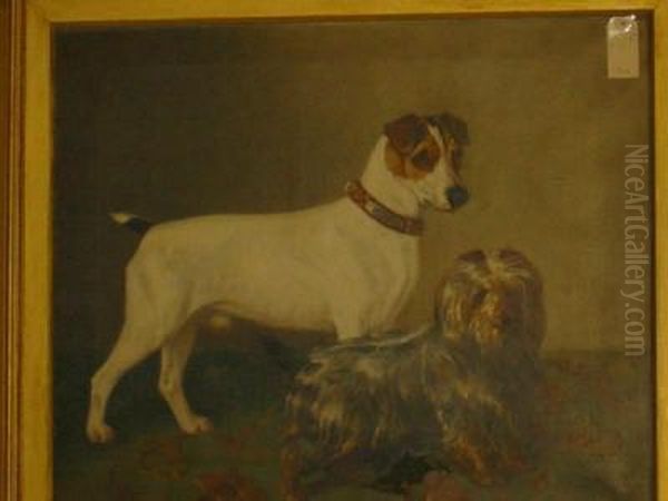 Portrait Of A Yorkshire Terrier And A Jack Russell - view 1