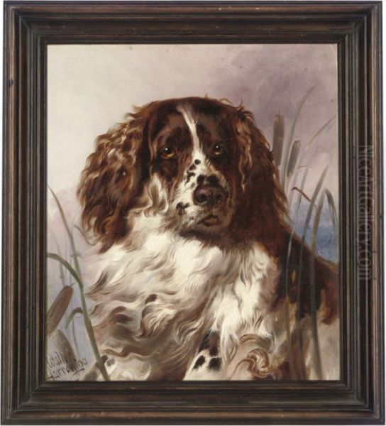 A Faithful Spaniel - view 1