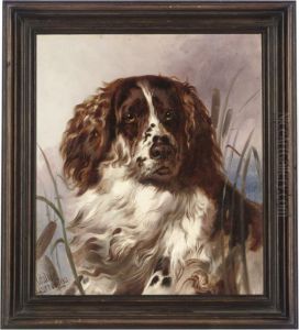 A Faithful Spaniel