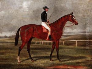 Portrait Of 
Phosphorus
, A Bay Racehorse, Winner Of The Derby In 1837