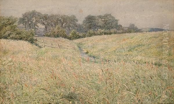 Harvest Time - view 1