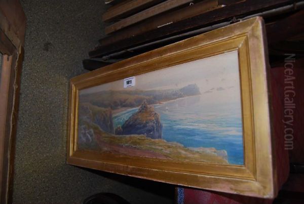 West Country Coastal View - view 1