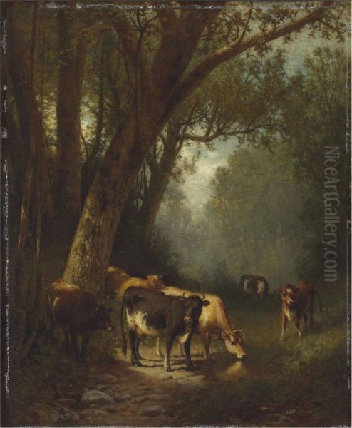 Cows Grazing In The Forest Clearing - view 1