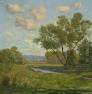 Brook In A Summer