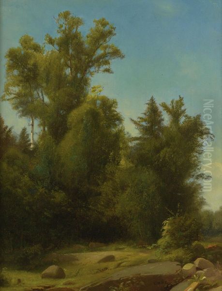A Wooded Landscape - view 1