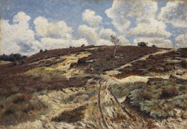 Heidehugel Bei Bardowick - view 1