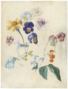 Flowerstudy With Pansy And Forget-me-nots Flowerstudy With Pansy And Forget-me-nots