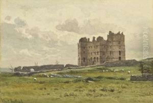 Tullow Castle - view 1