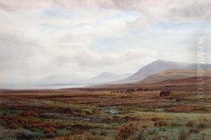 On The Moors, Achill Island, Co. Mayo,ireland
