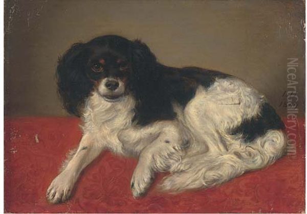 A Spaniel On A Cloth - view 1