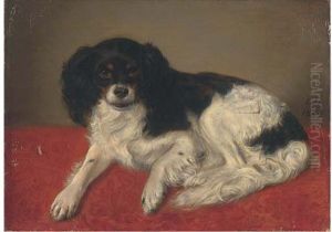 A Spaniel On A Cloth A Spaniel On A Cloth
