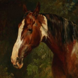 A Horse Head by Ludwig Hartmann