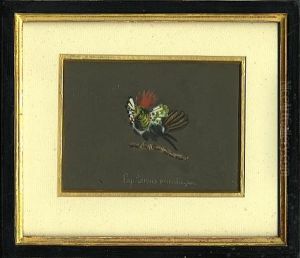 Kolibri by Wilhelm Johann Dan. Hartmann