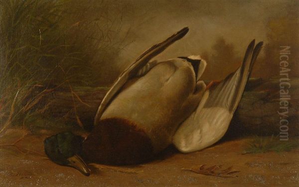 Still Life With Dead Mallard - view 1