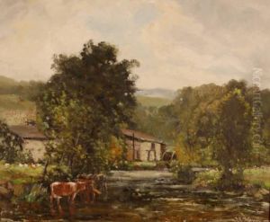Untitled by John Rabone Harvey