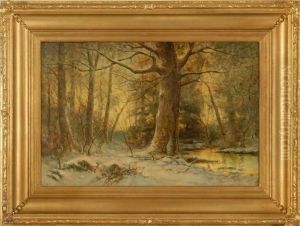 Luminous Forest Interior by Du Bois Fenelon Hasbrouck