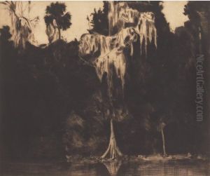 Ghost Cypress by Ernest Haskell