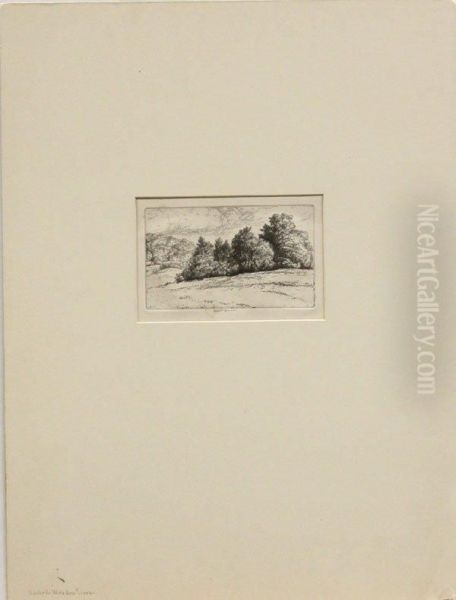 Matted Etching - view 1