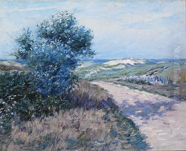 In The Dunes - view 1