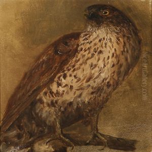 A Buzzard by Otto Haslund