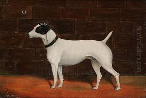 Portrait Of A Terrier