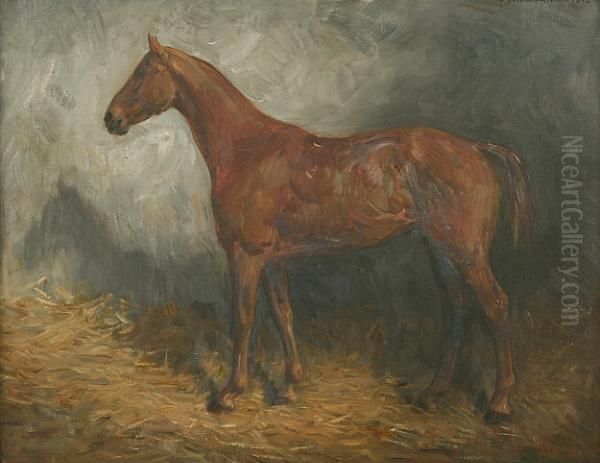 Horse In A Loosebox - view 1