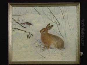 Hase Im Winter by Christian Haug