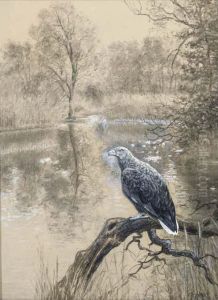 A Fishing Eagle Perched On A Branch by Christian Haug