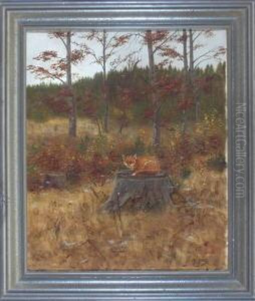 Liegender Fuchs Auf Einem Baumstumpf Im Herbstwald - view 1